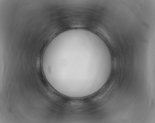 X0000112010549200908031023