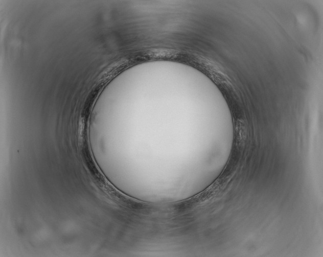 X0000112010550200908031023