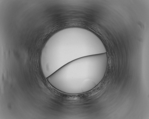 X0000112010551200908031023