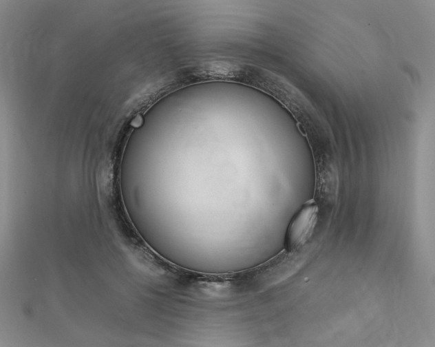 X0000112010552200908031023