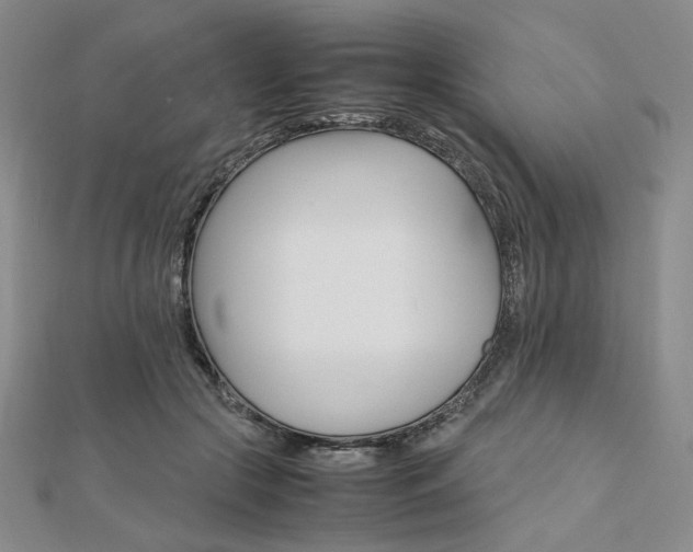 X0000112010553200908031023