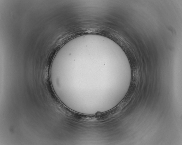 X0000112010554200908031023