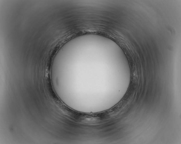 X0000112010555200908031023