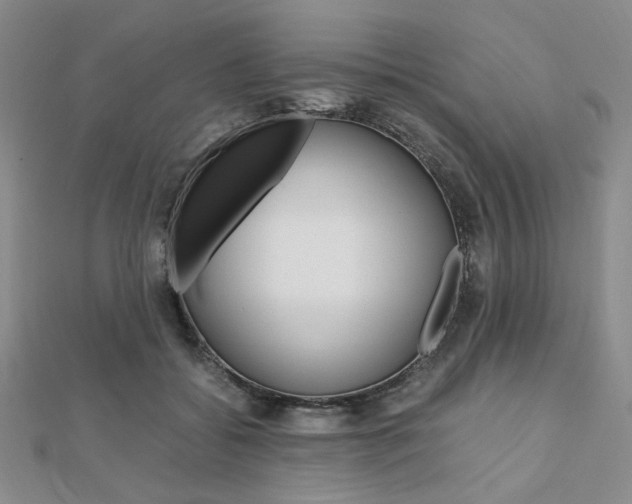 X0000112010556200908031023