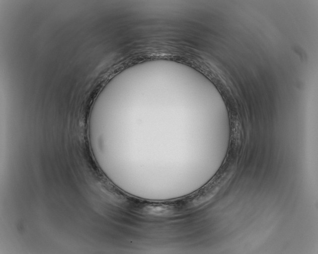 X0000112010557200908031023