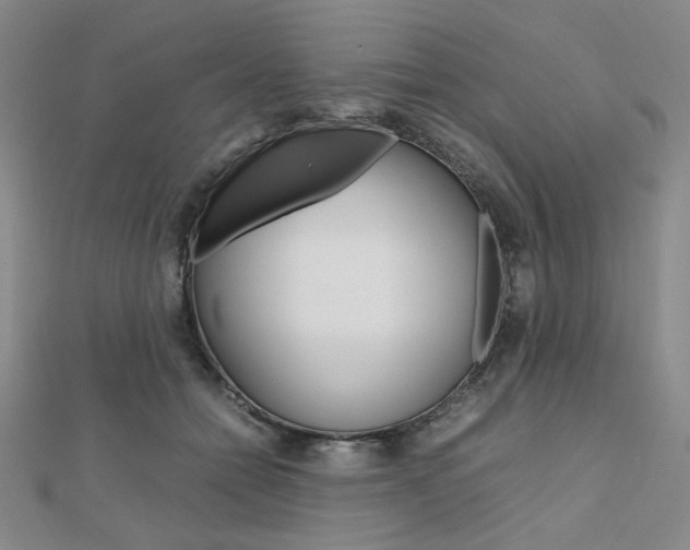 X0000112010558200908031023