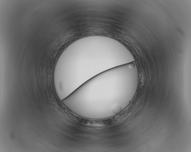 X0000112010559200908031023
