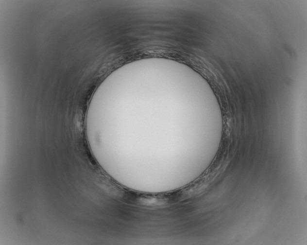X0000112010561200908031023