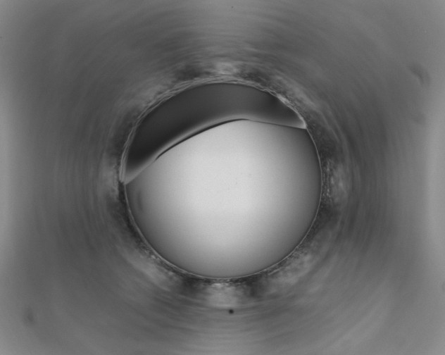 X0000112010562200908031023