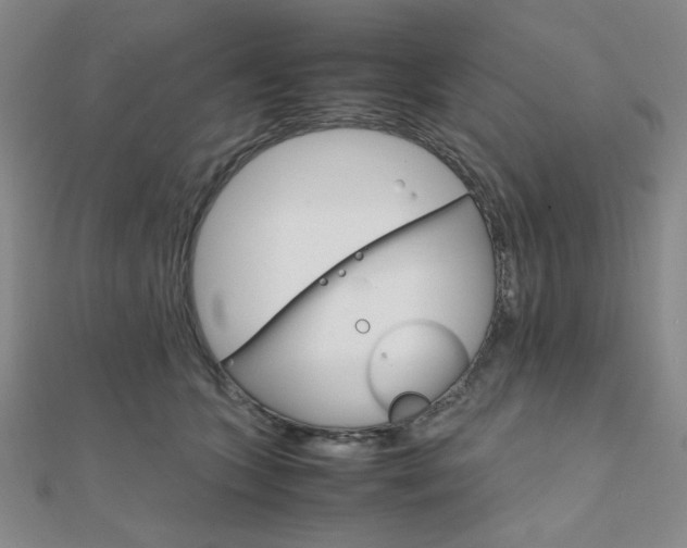 X0000112010563200908031023