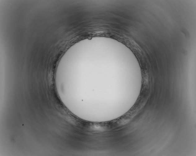 X0000112010565200908031023