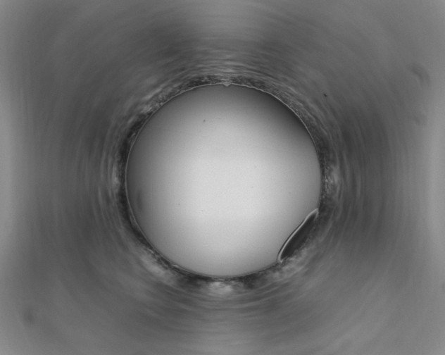 X0000112010566200908031023