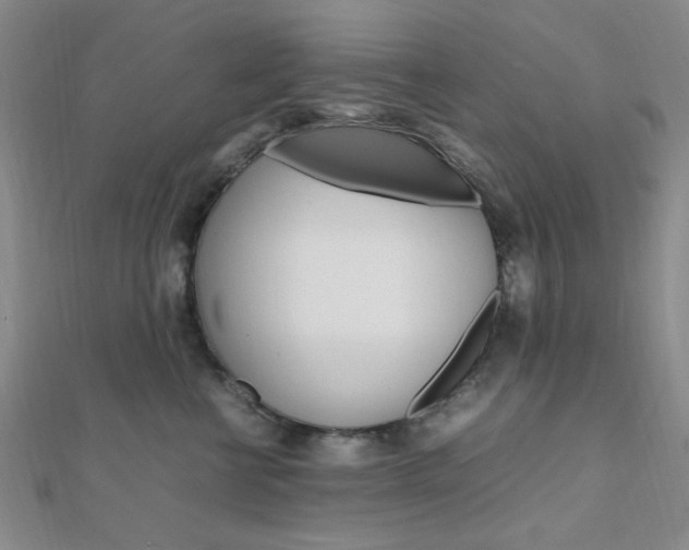 X0000112010570200908031024