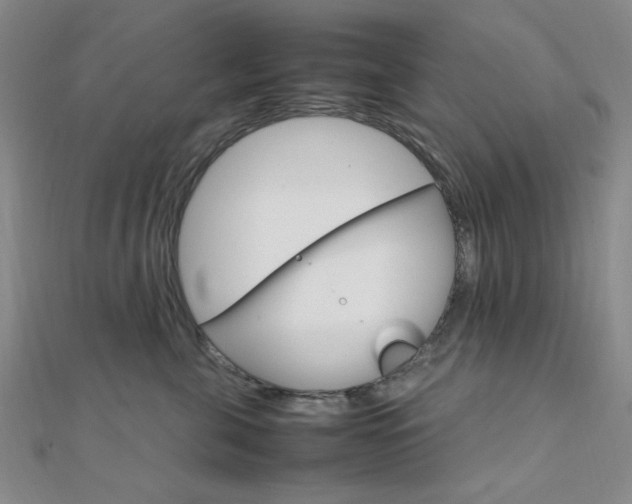 X0000112010571200908031024