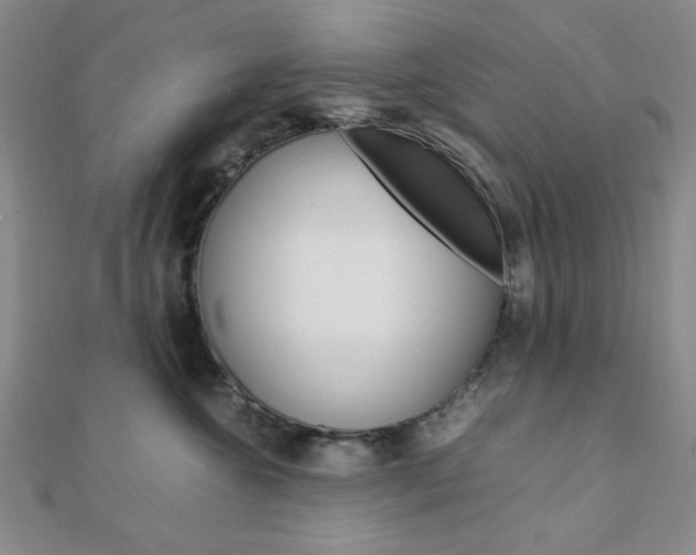 X0000112010572200908031024