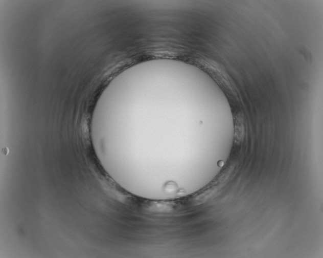 X0000112010573200908031024