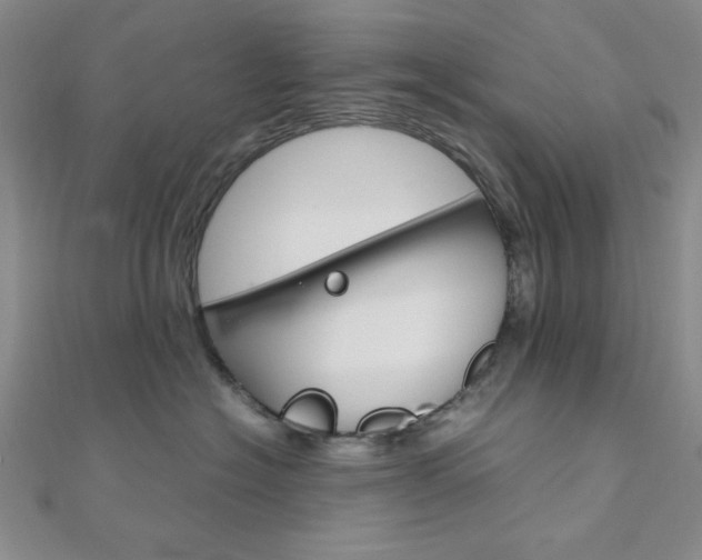 X0000112010574200908031024