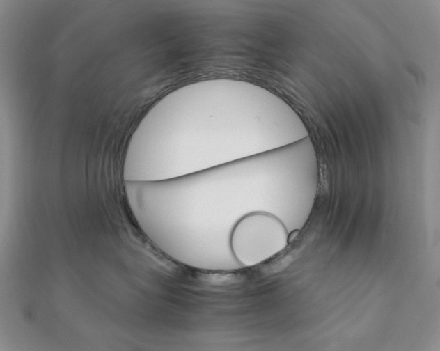 X0000112010575200908031024