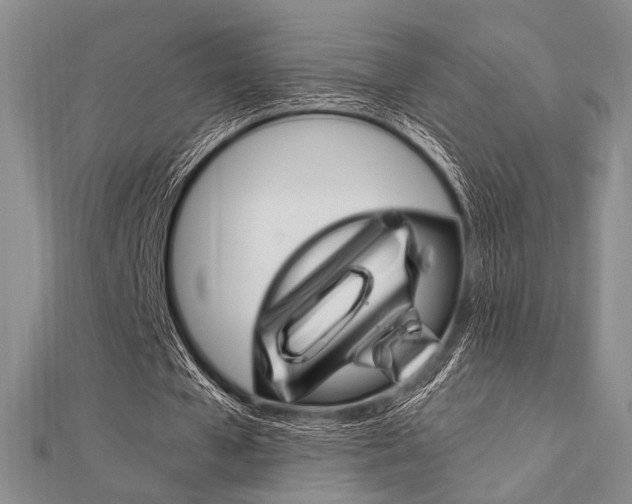 X0000112010577200908031023
