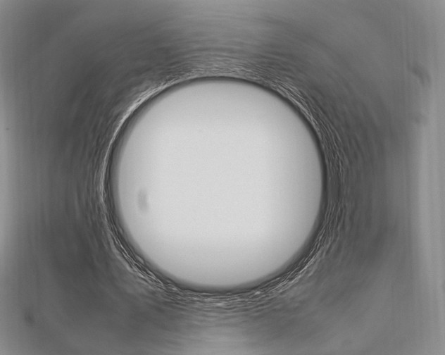 X0000112010579200908031023