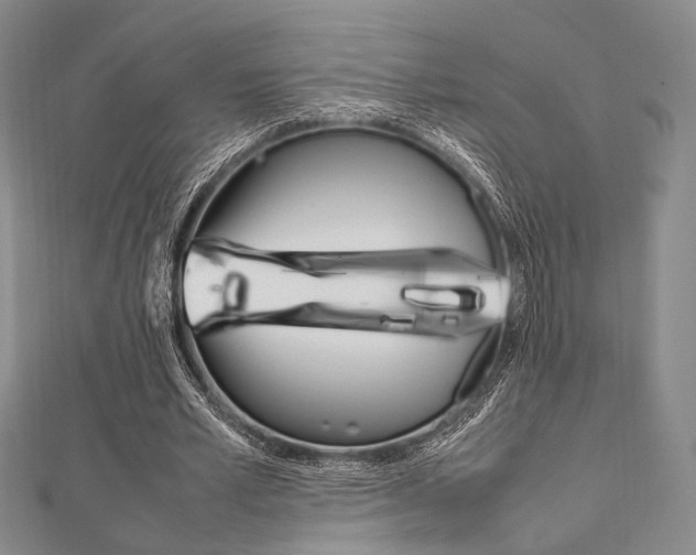 X0000112010581200908031023