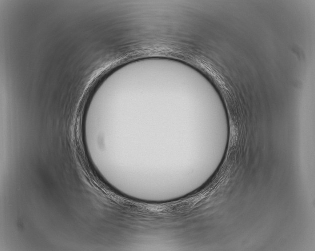 X0000112010583200908031023