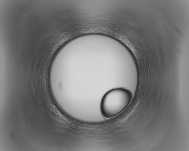 X0000112010585200908031023
