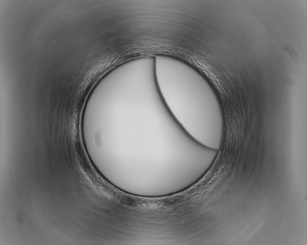 X0000112010586200908031023