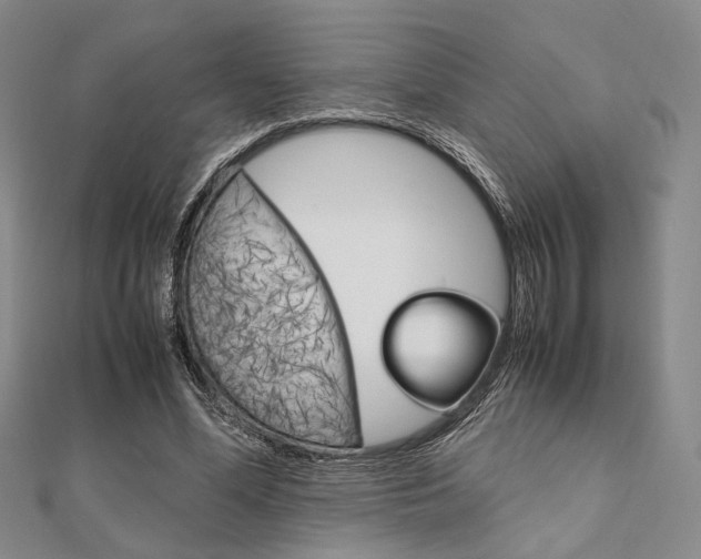 X0000112010588200908031023