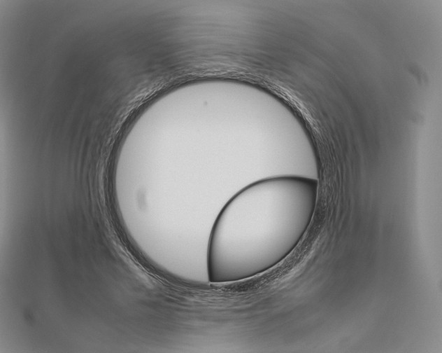 X0000112010589200908031023