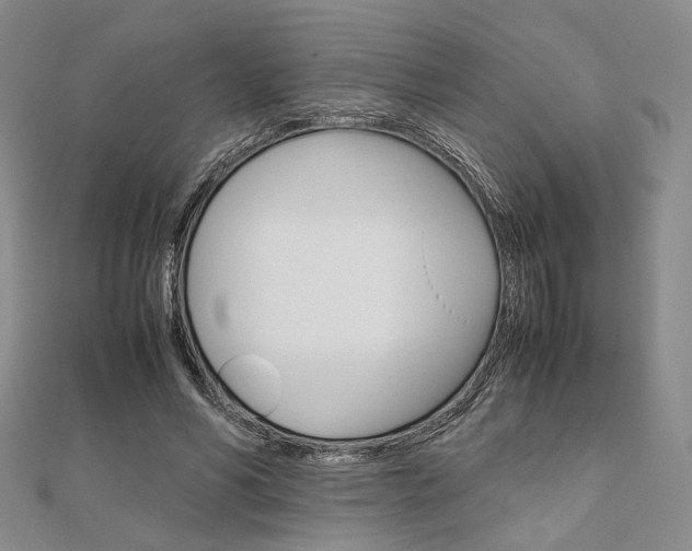 X0000112010590200908031023