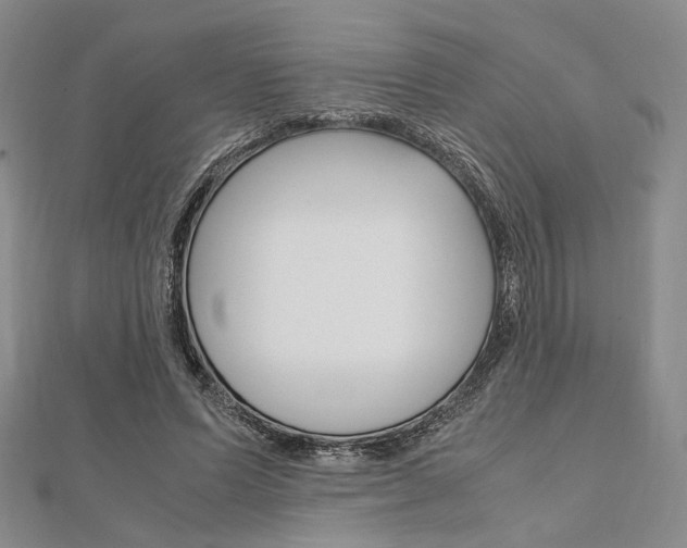 X0000112010591200908031023