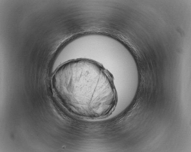 X0000112010592200908031023