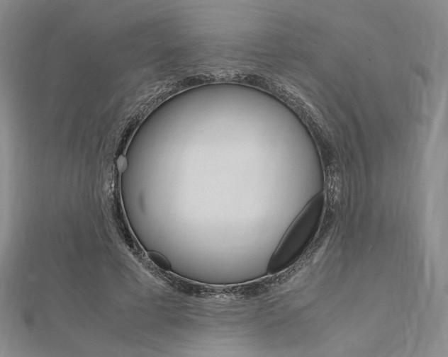 X0000112010593200908031023
