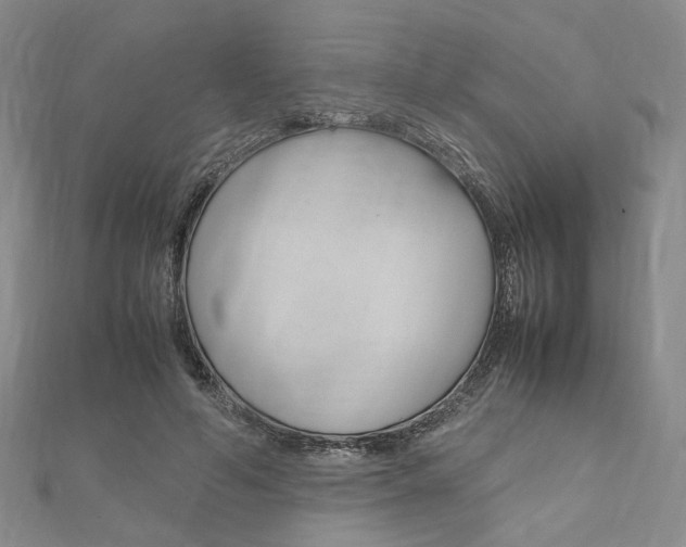 X0000112010594200908031023