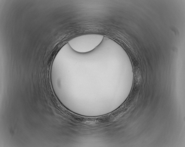 X0000112010595200908031023