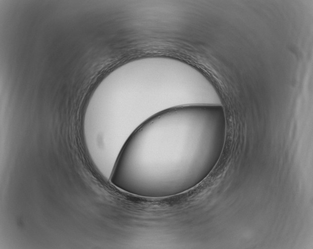 X0000112010597200908031023