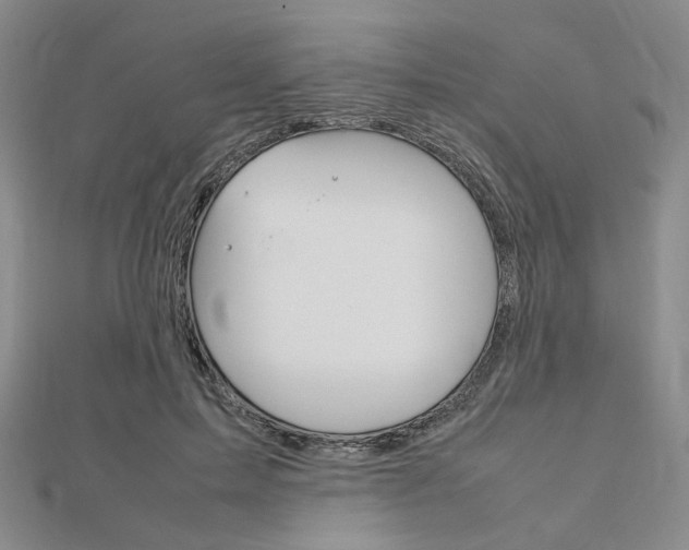 X0000112010599200908031023