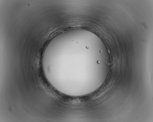 X0000112010600200908031023