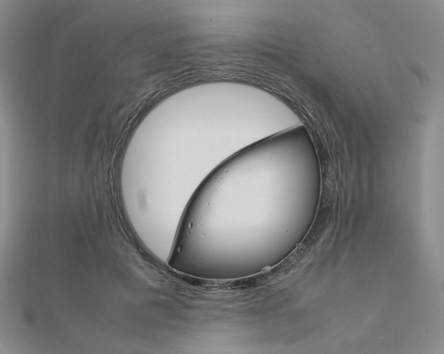 X0000112010601200908031023
