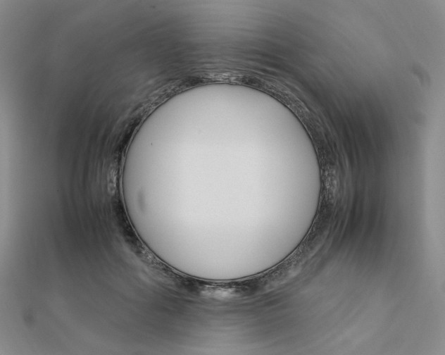 X0000112010602200908031023