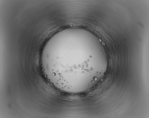 X0000112010604200908031023