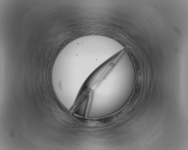 X0000112010605200908031023