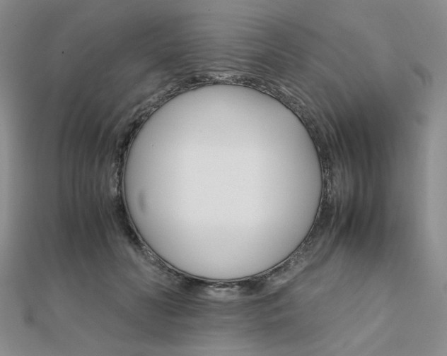 X0000112010606200908031023