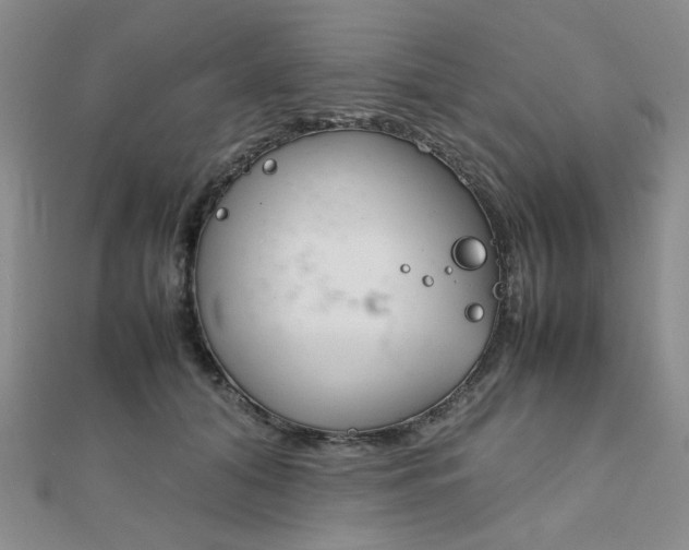 X0000112010608200908031023