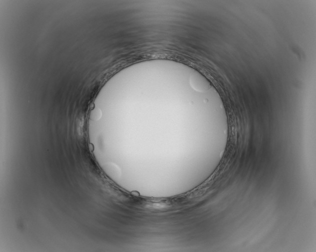 X0000112010610200908031023