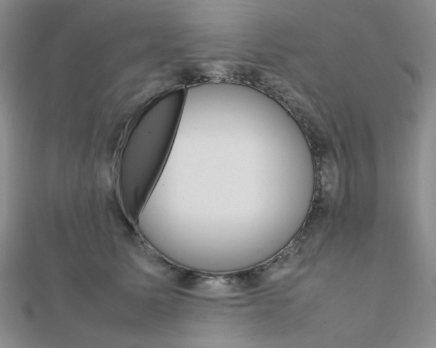 X0000112010611200908031023