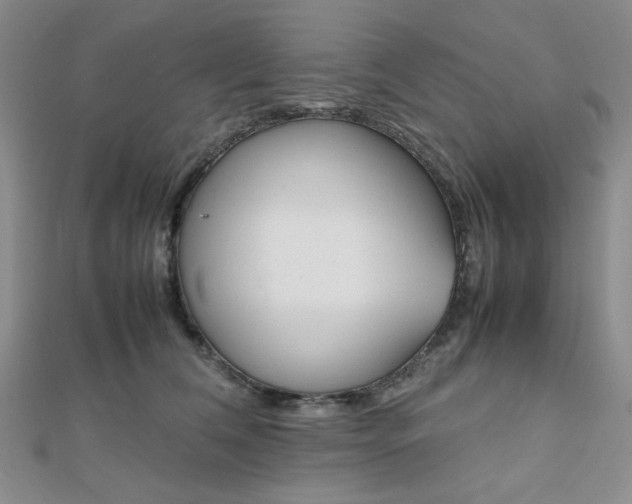X0000112010612200908031023