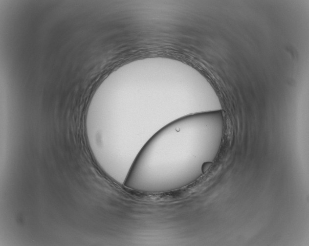 X0000112010613200908031023