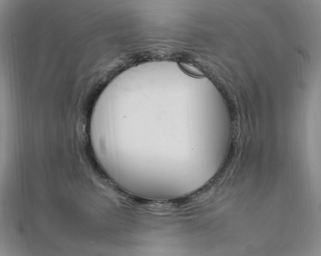 X0000112010615200908031022